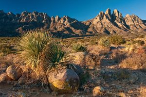 New Mexico